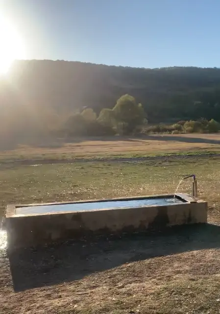 Asociația Fecioara Maria, Regina Săracilor — O rază de speranță pentru copiii și familiile aflate în dificultate — poza 2